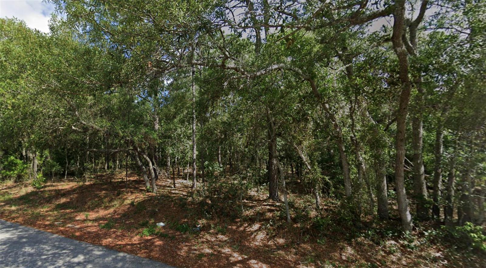 0 Todd Trl Property Photo 3