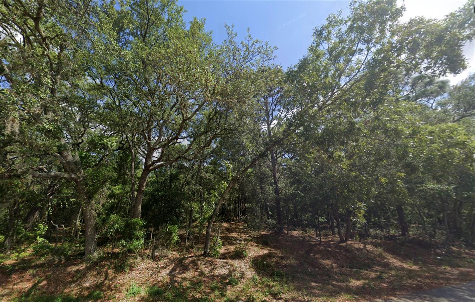 0 Todd Trl Property Photo 4
