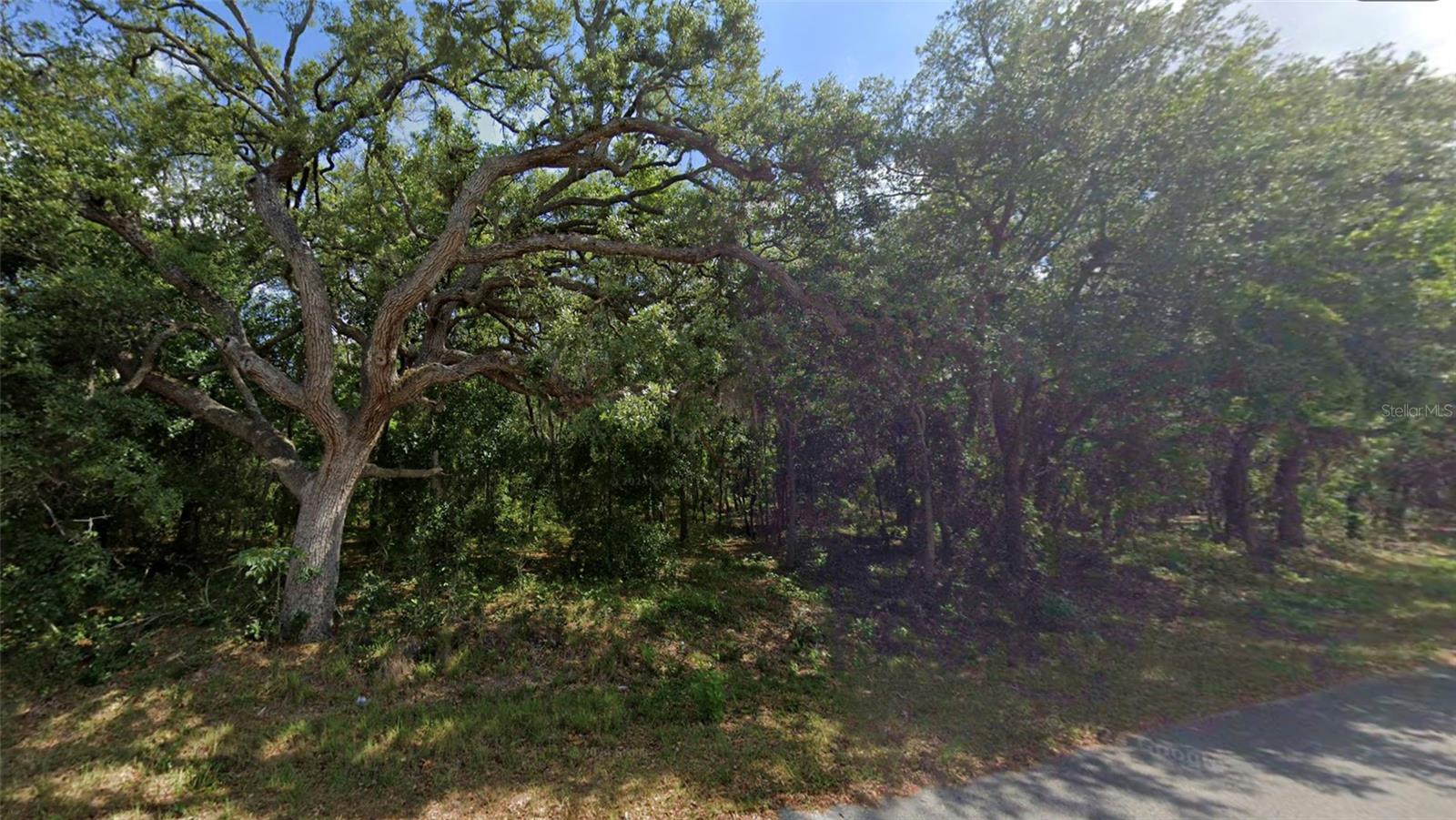 0 Todd Trl Property Photo 5
