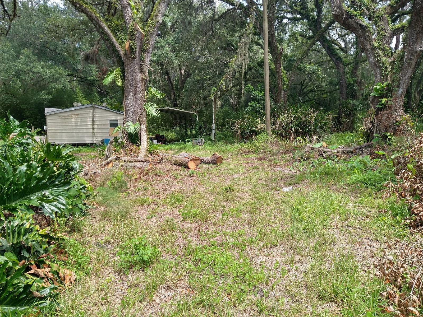 10616 Shady Dr Property Photo 4