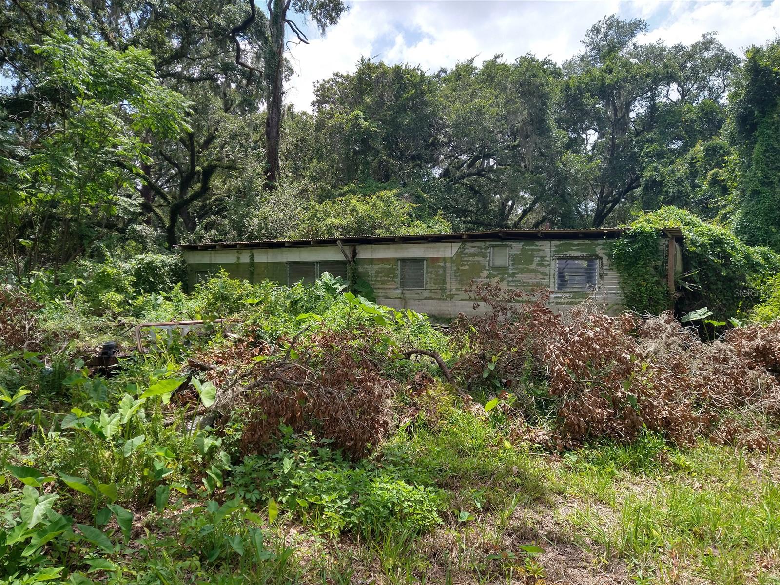 10616 Shady Dr Property Photo 5