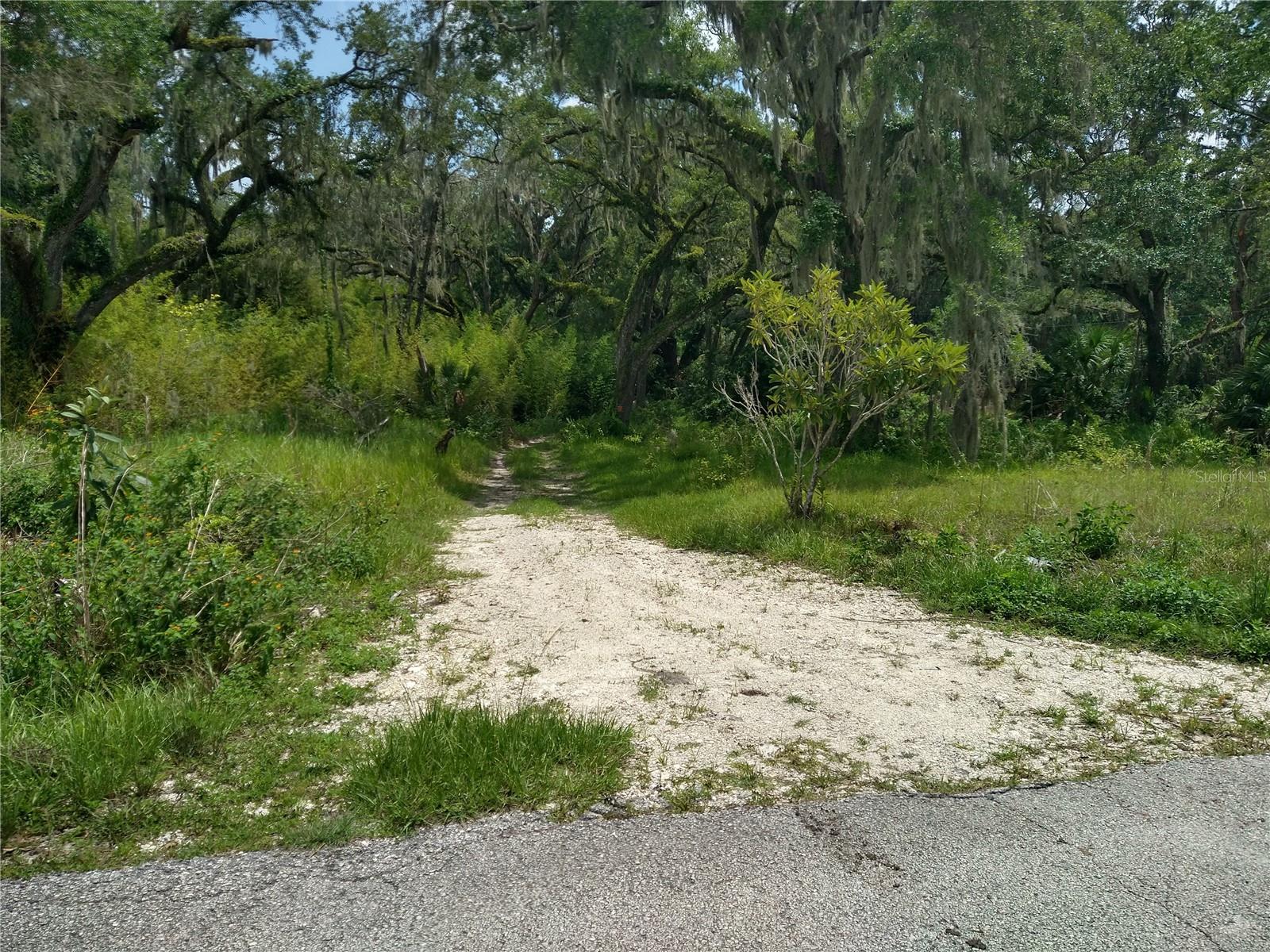 10616 Shady Dr Property Photo 11