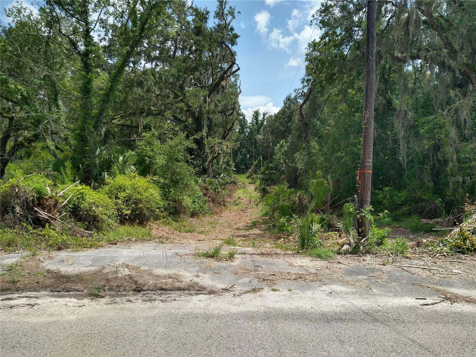 10616 Shady Dr Property Photo 13