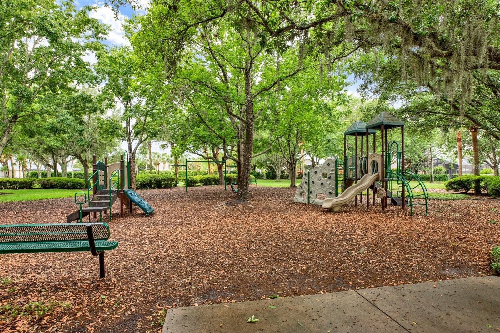 2318 Edelweiss Loop Property Photo 54