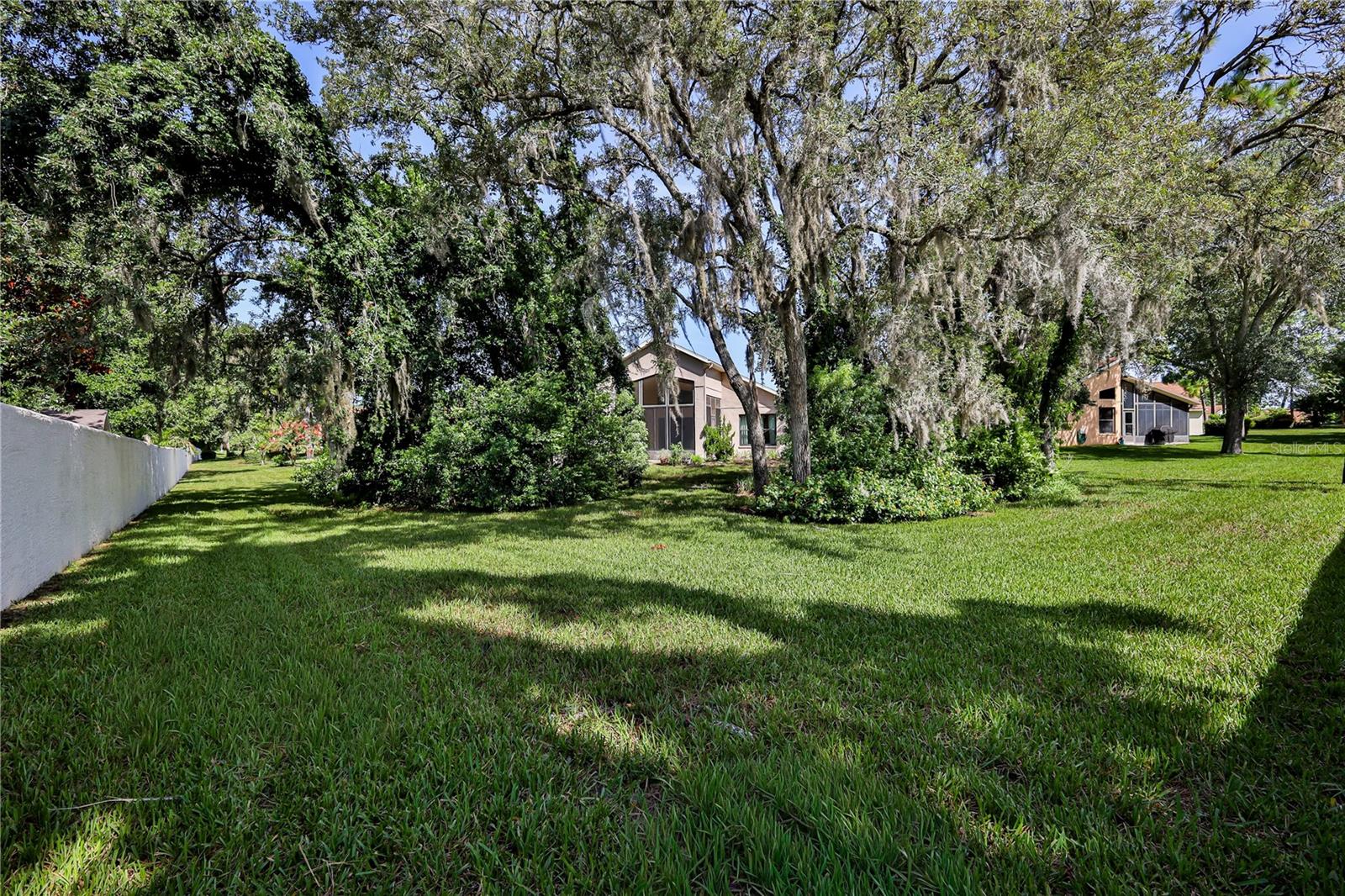 11430 Kingstree Ct Property Photo 52