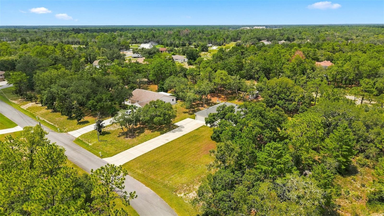 10345 Meadow Wren Ave Property Photo 34