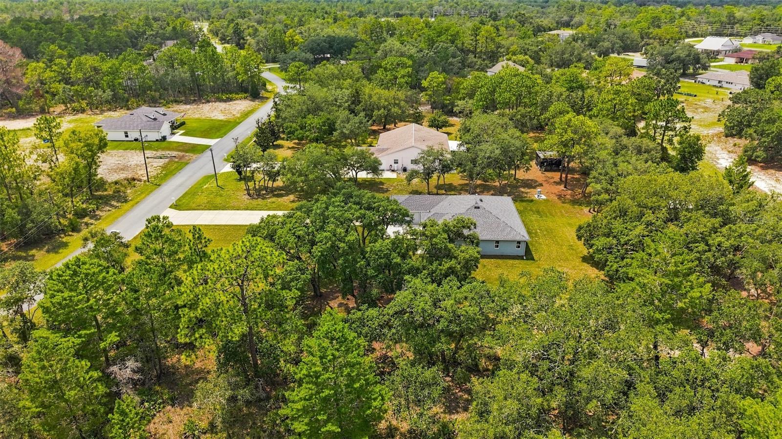 10345 Meadow Wren Ave Property Photo 35