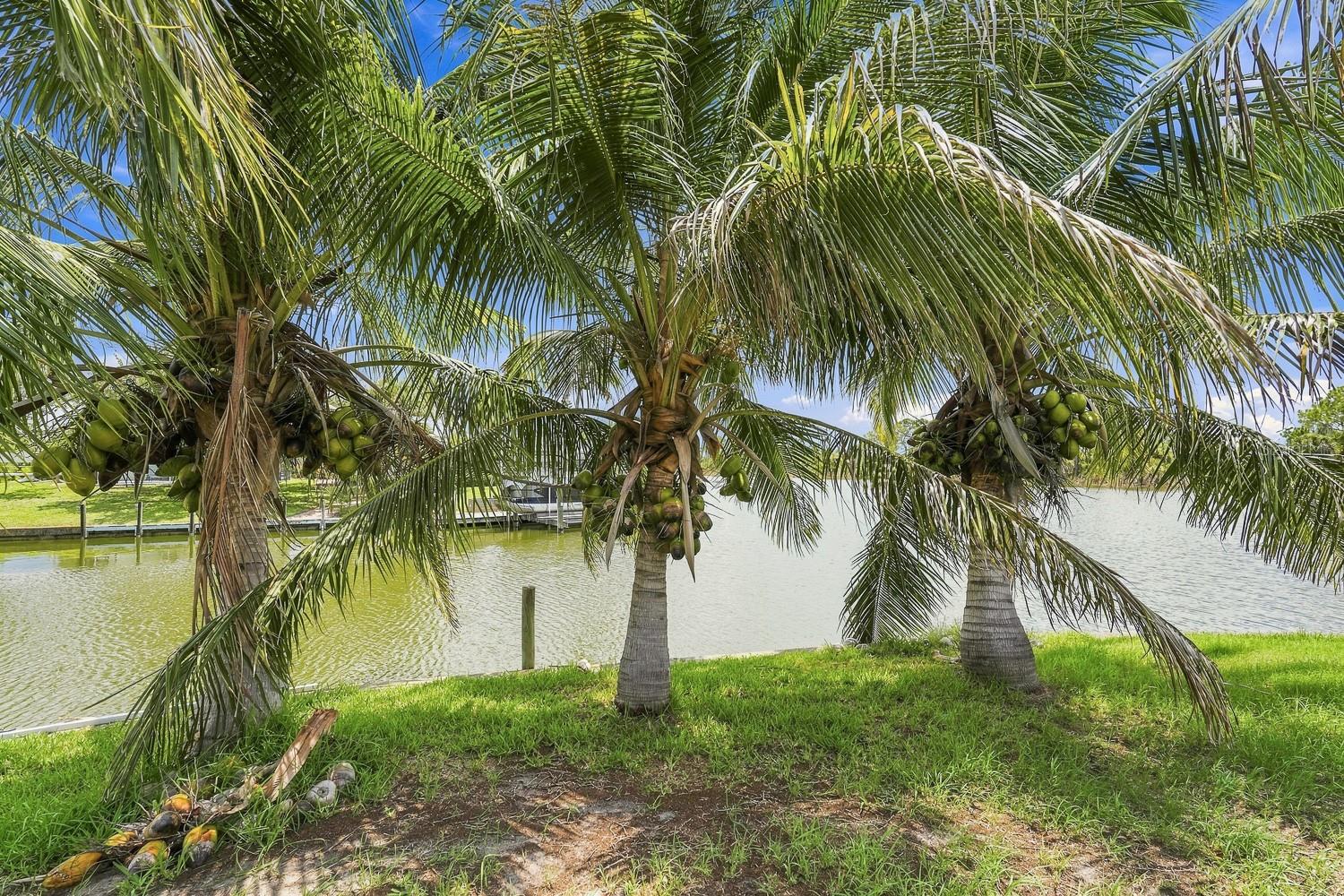 10535 Aztec Rd Property Photo 25