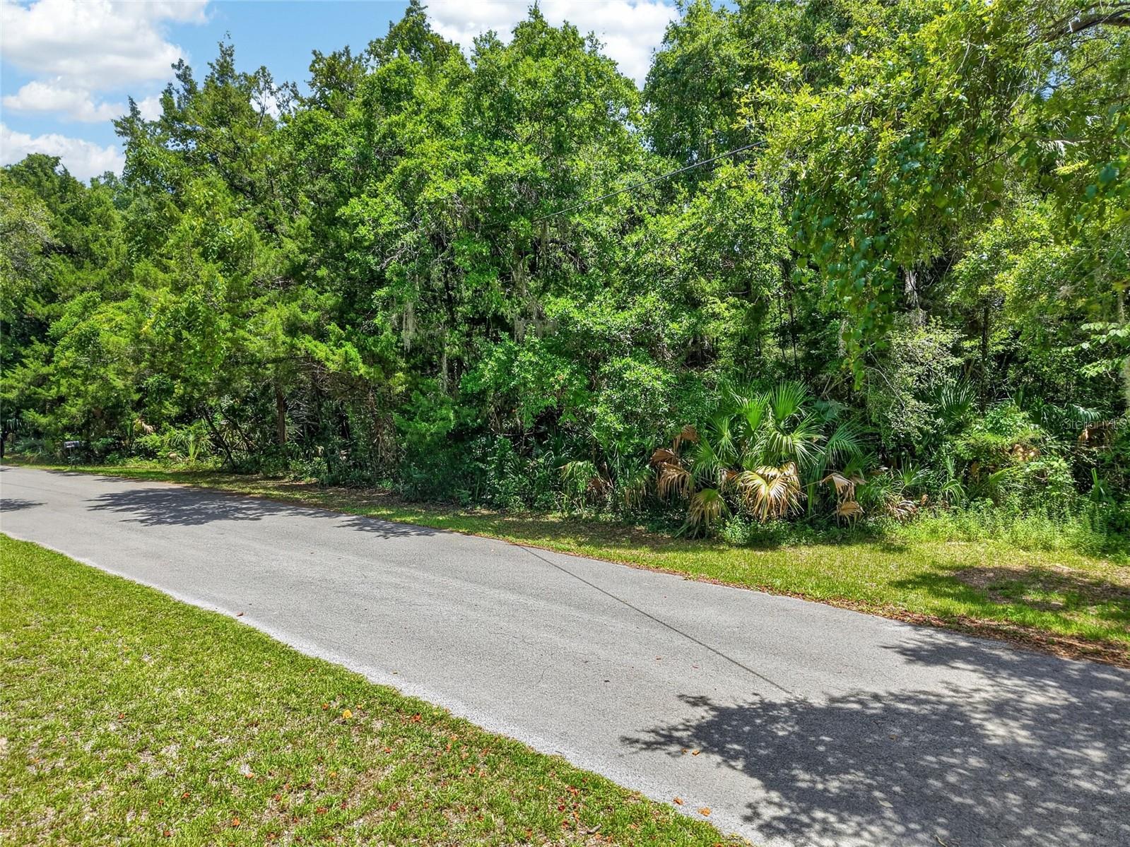 0 Sw Palm Point Property Photo 1