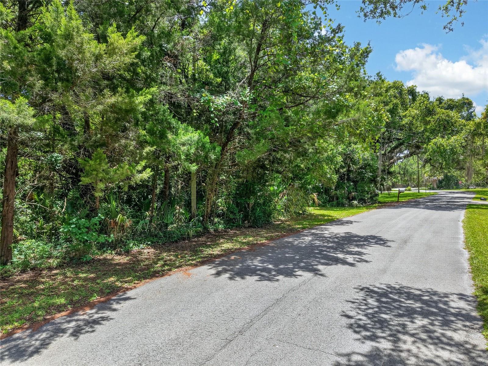 0 Sw Palm Point Property Photo 3