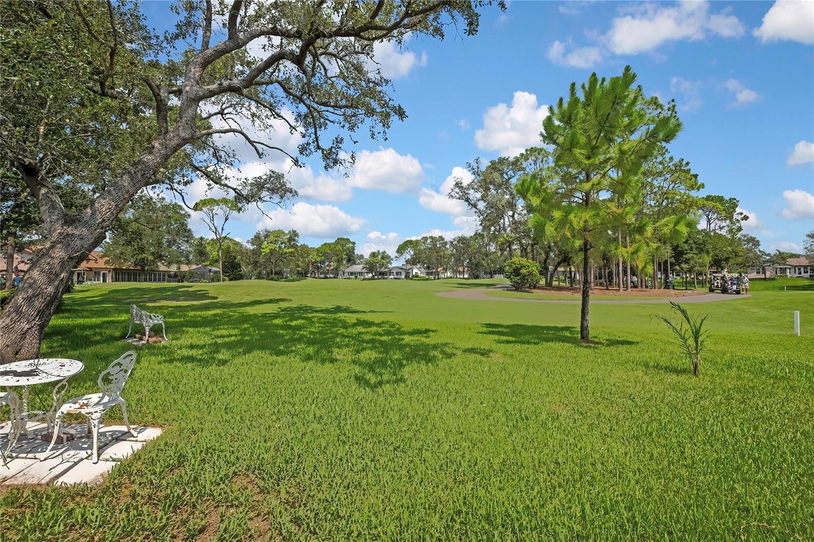 7159 Crown Oaks Dr Property Photo 41