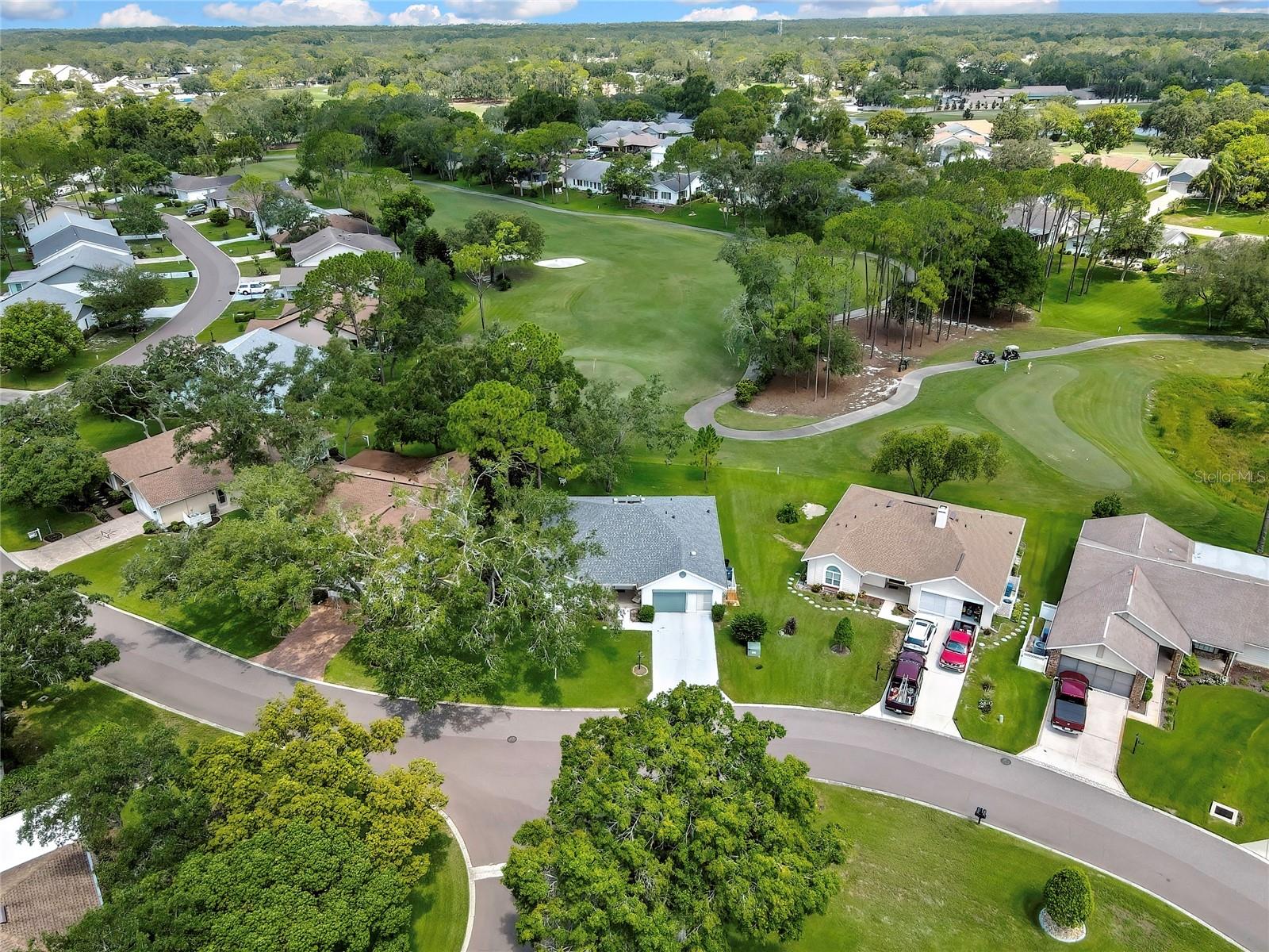 7159 Crown Oaks Dr Property Photo 42