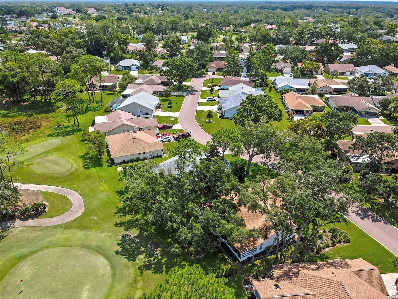 7159 Crown Oaks Dr Property Photo 47
