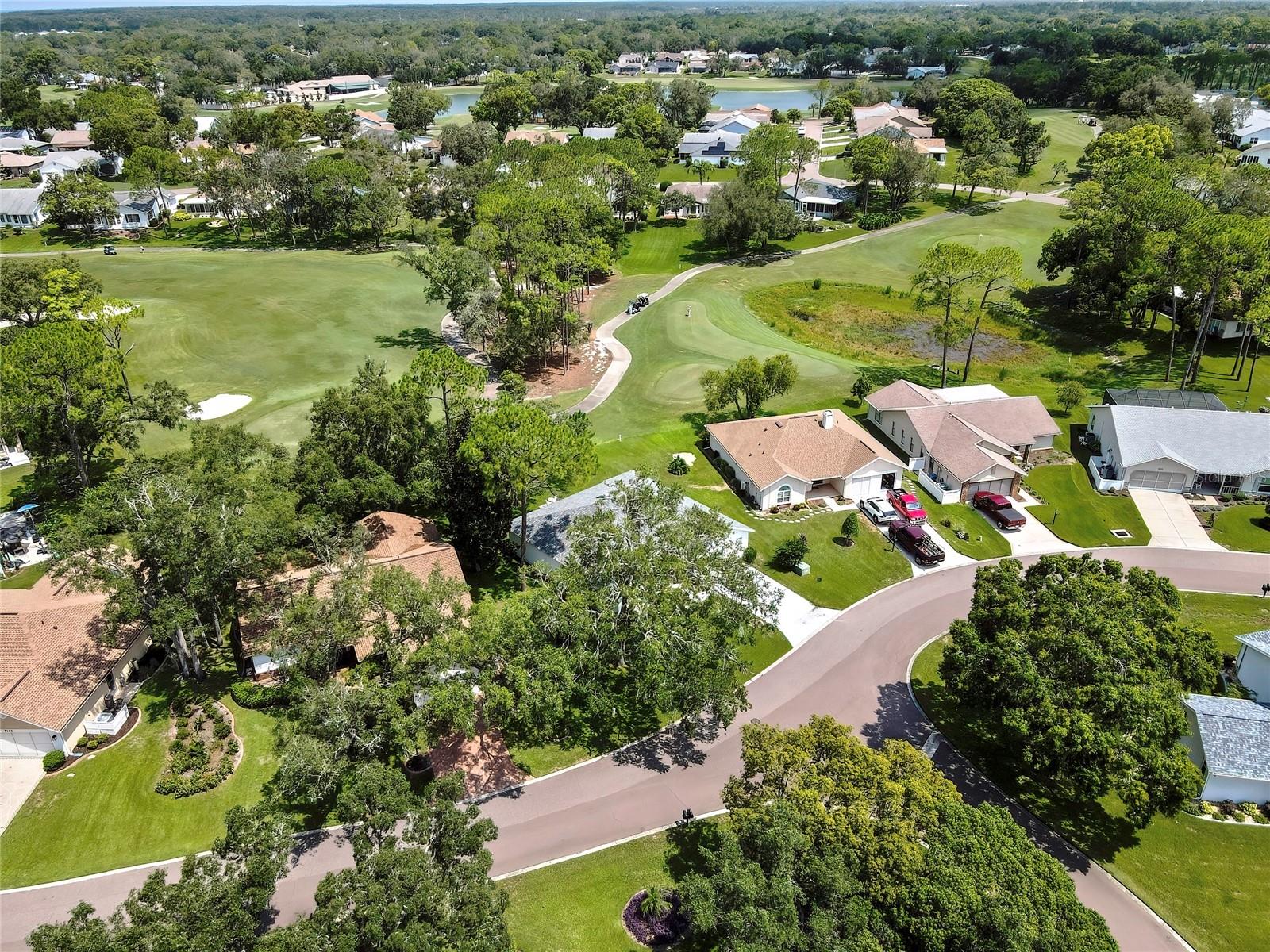 7159 Crown Oaks Dr Property Photo 49