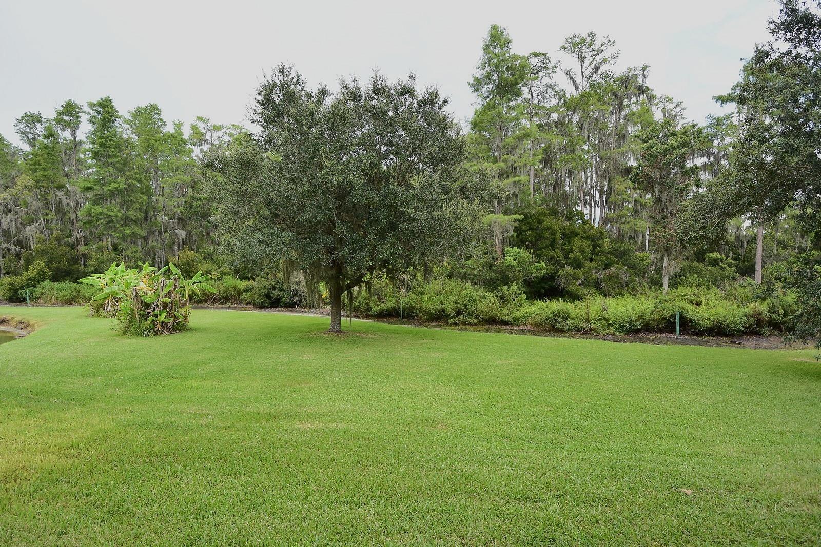 3554 Pickerell Pl Property Photo 45