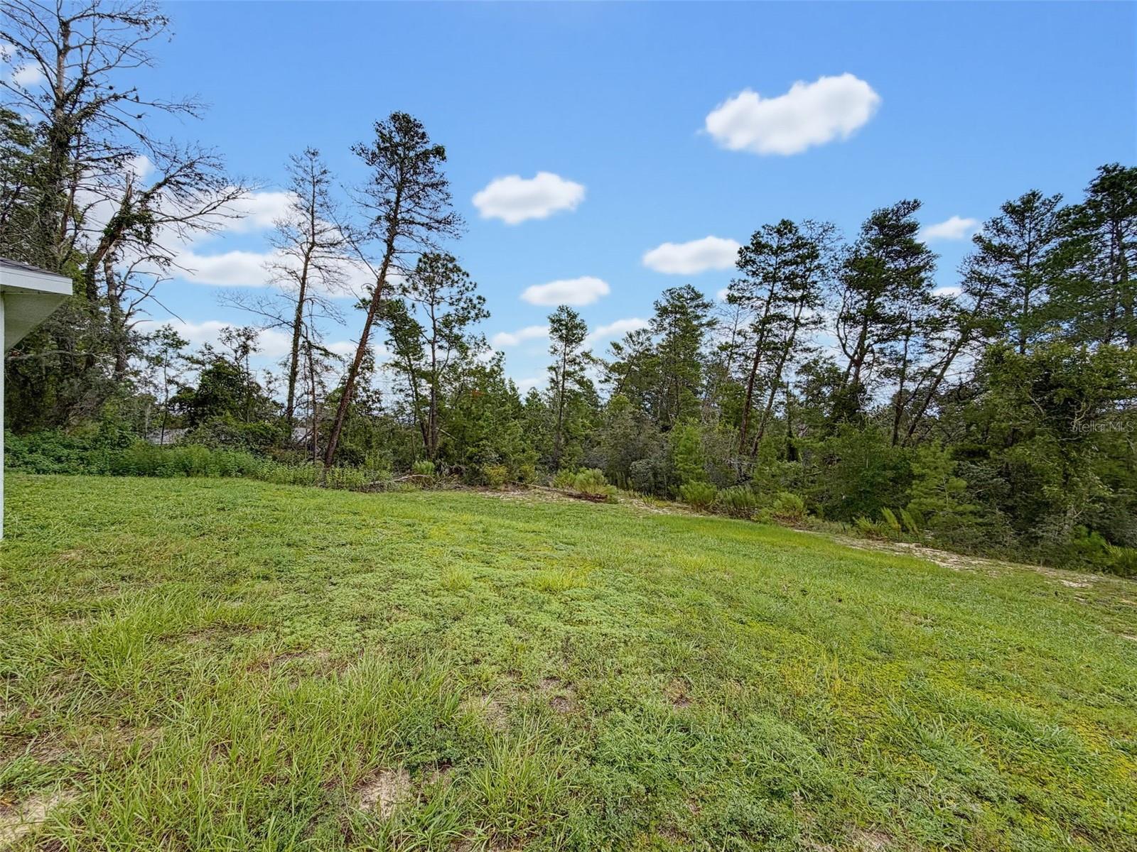 2404 Lema Dr Property Photo 58