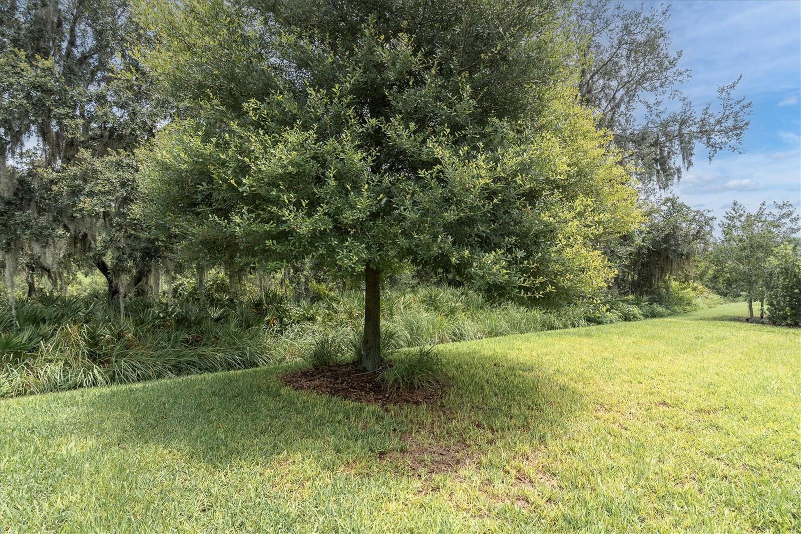 13709 Stansil Ave Property Photo 48