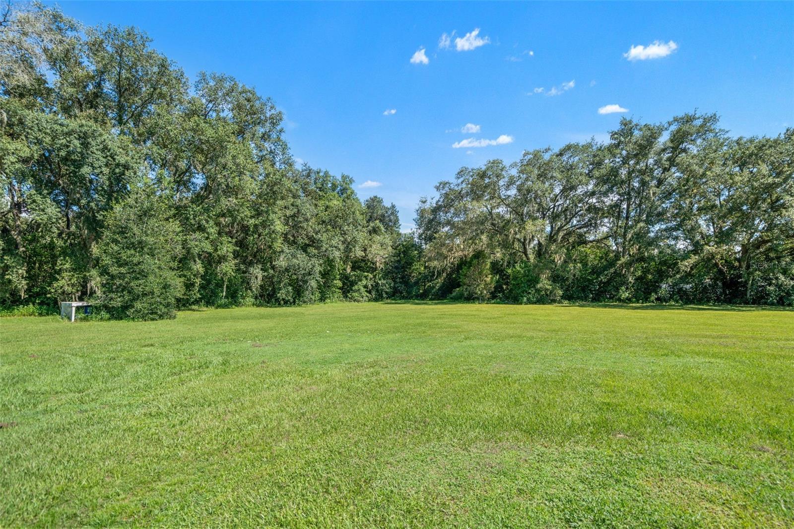 8512 Hamster Dr Property Photo 43