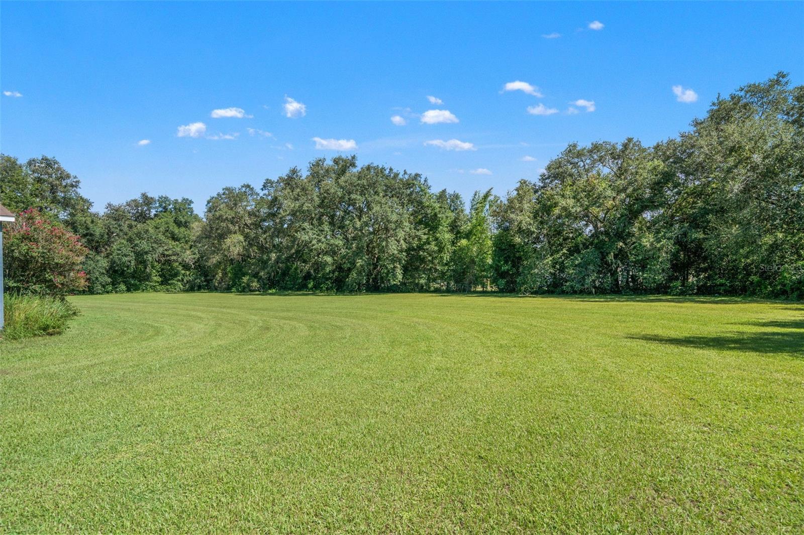 8512 Hamster Dr Property Photo 44
