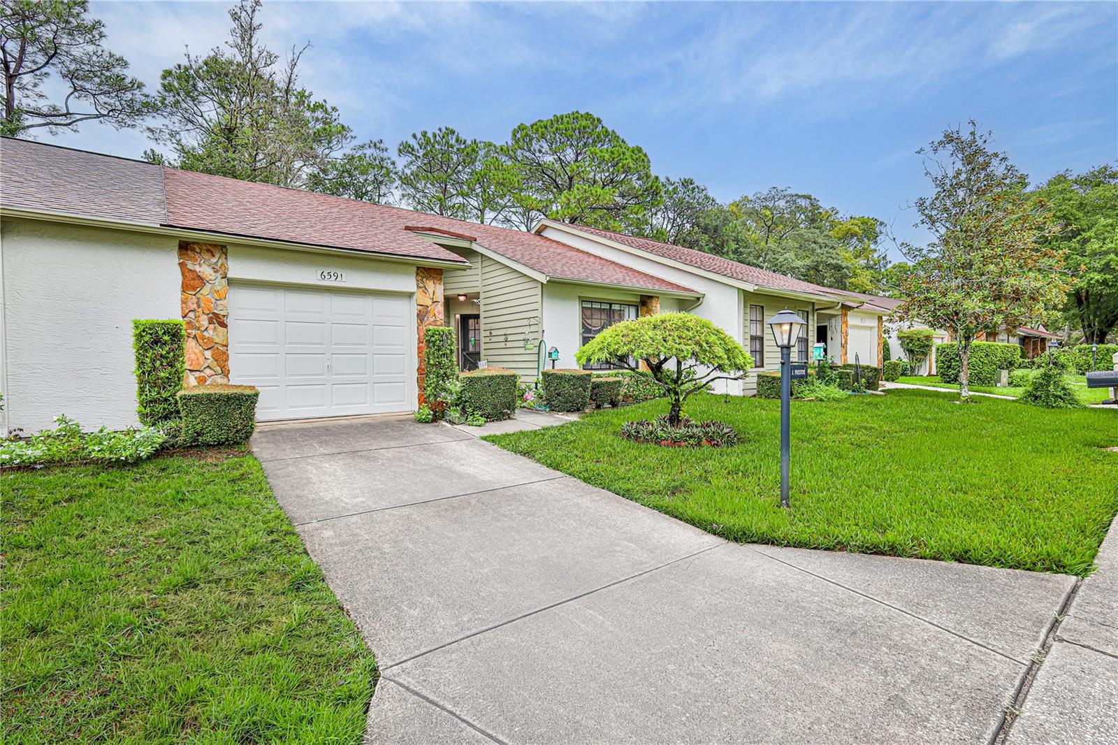 6591 Brambleleaf Dr Property Photo 3
