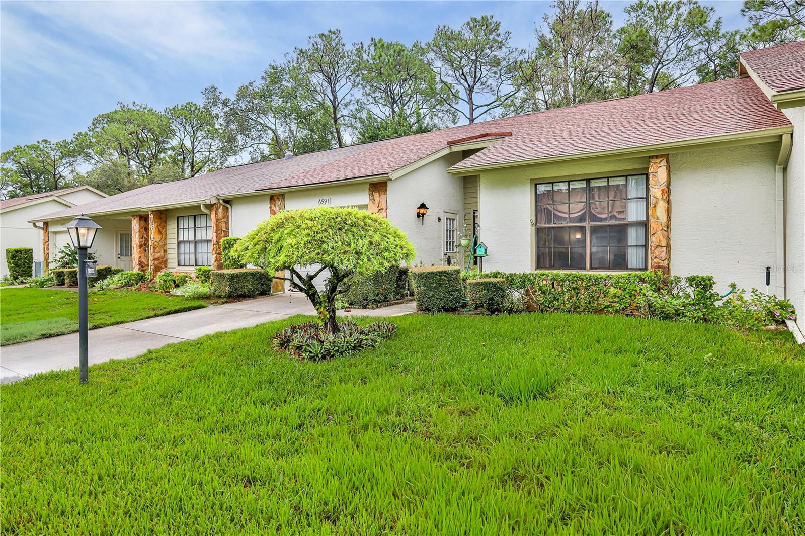 6591 Brambleleaf Dr Property Photo 4