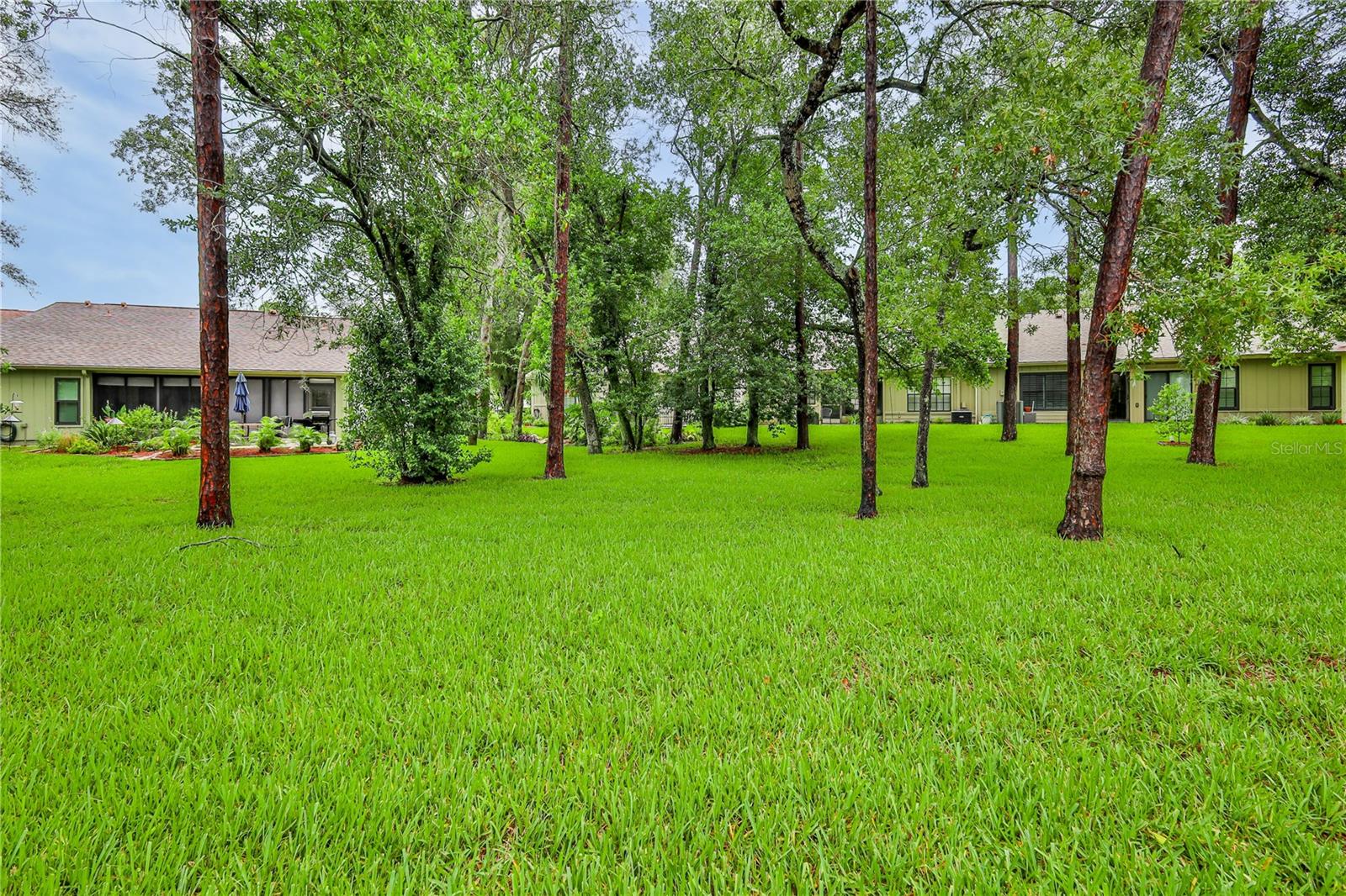 6591 Brambleleaf Dr Property Photo 31