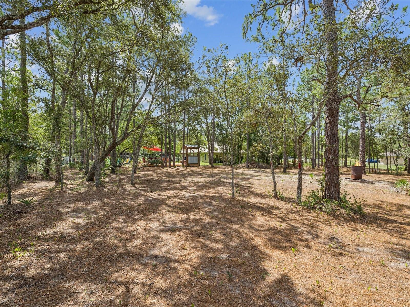 12229 Barnevelde Rd Property Photo 27