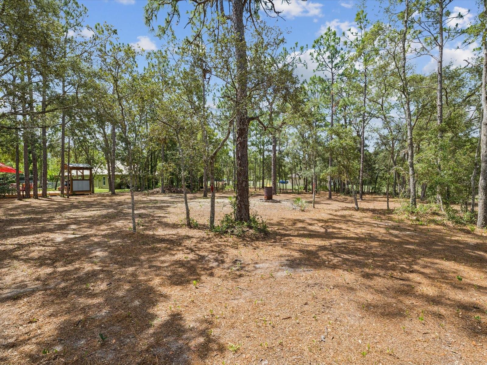 12229 Barnevelde Rd Property Photo 28