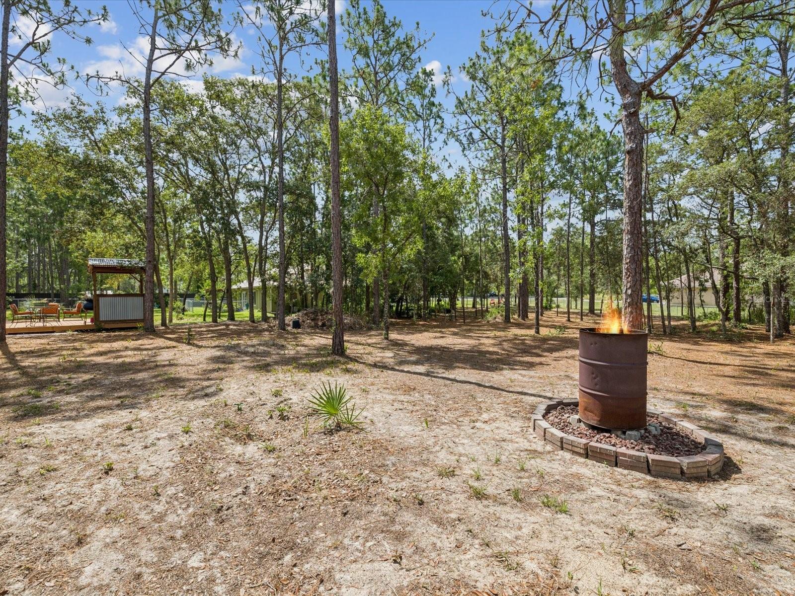 12229 Barnevelde Rd Property Photo 29