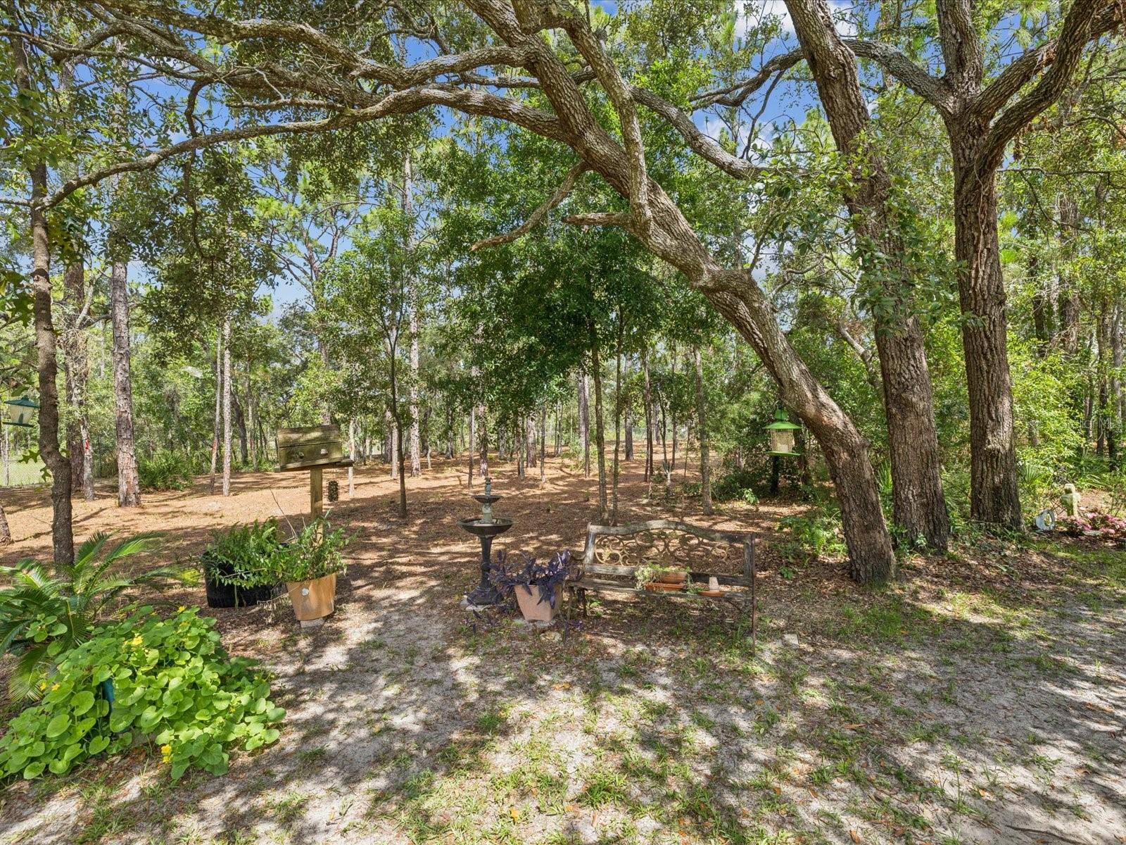 12229 Barnevelde Rd Property Photo 30