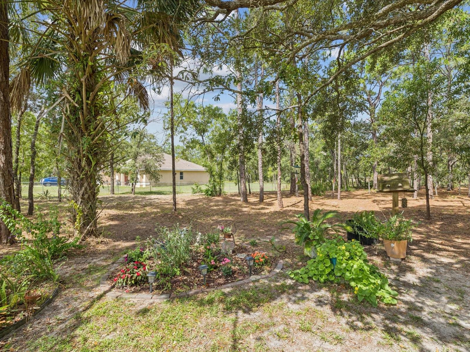12229 Barnevelde Rd Property Photo 31