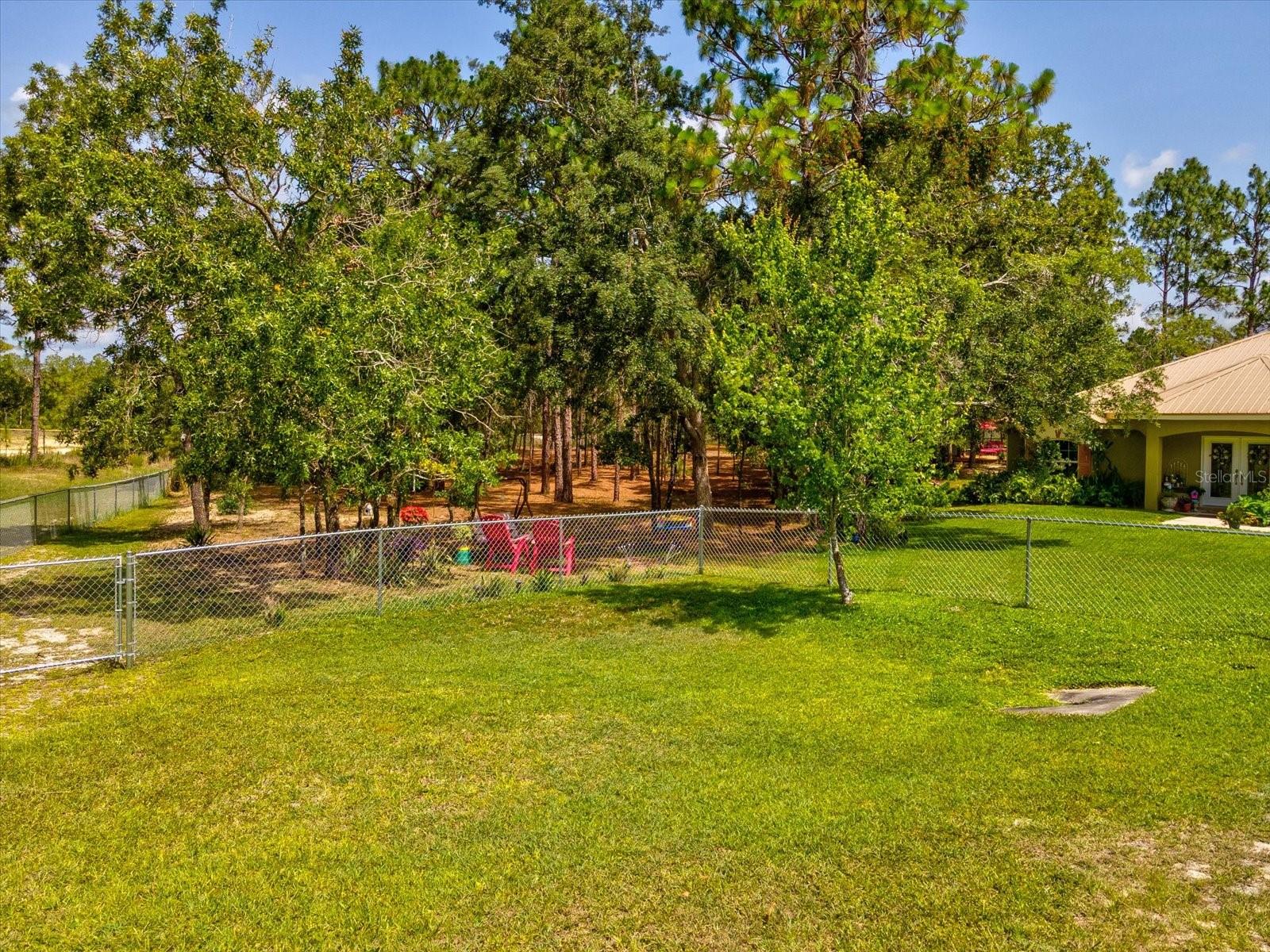 12229 Barnevelde Rd Property Photo 37