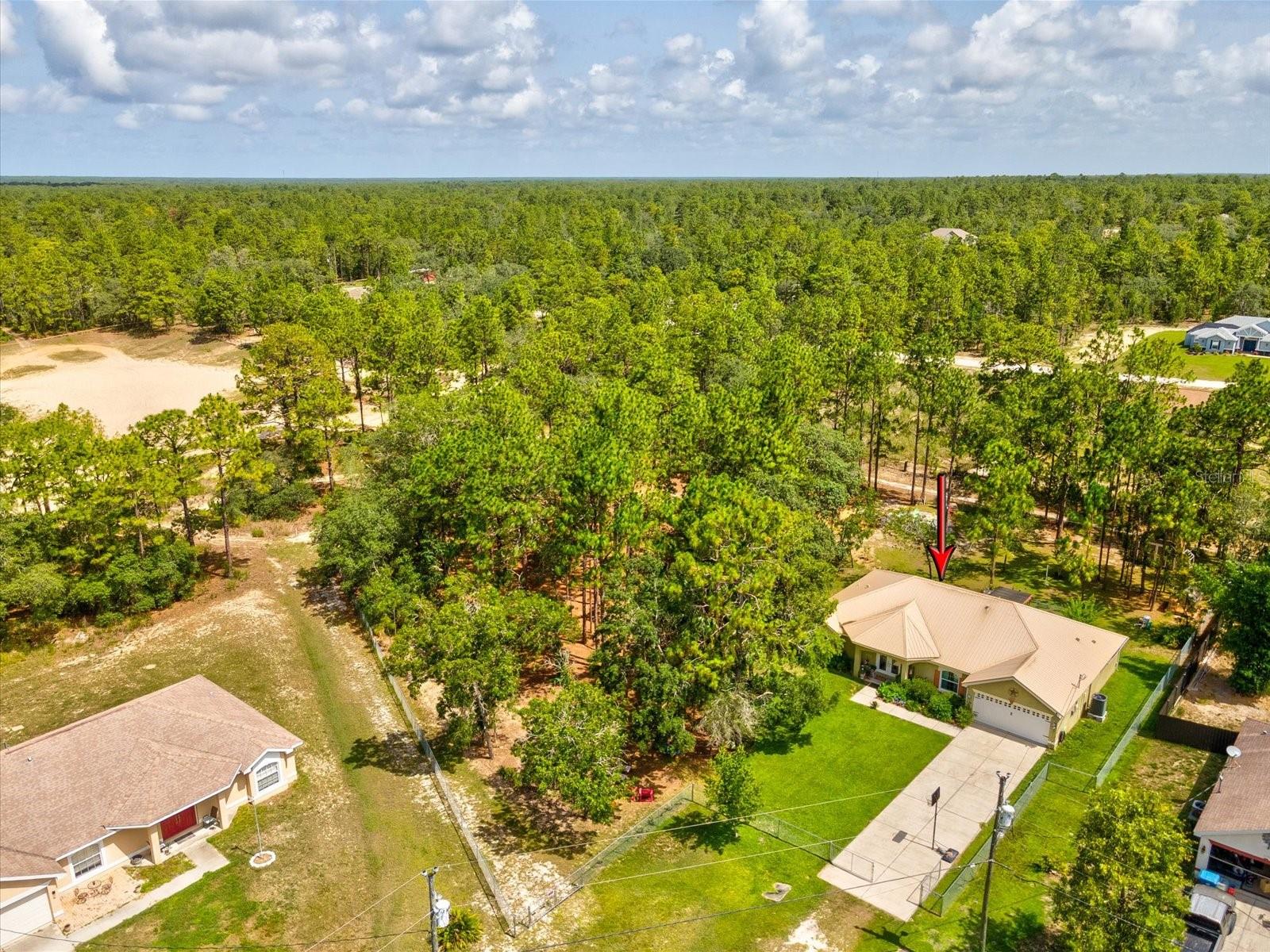 12229 Barnevelde Rd Property Photo 42