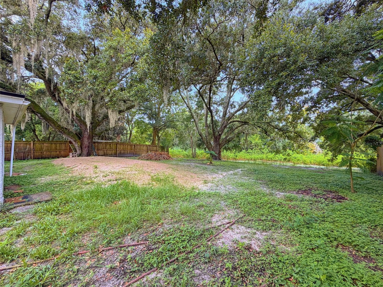 6845 Medlar Dr Property Photo 25