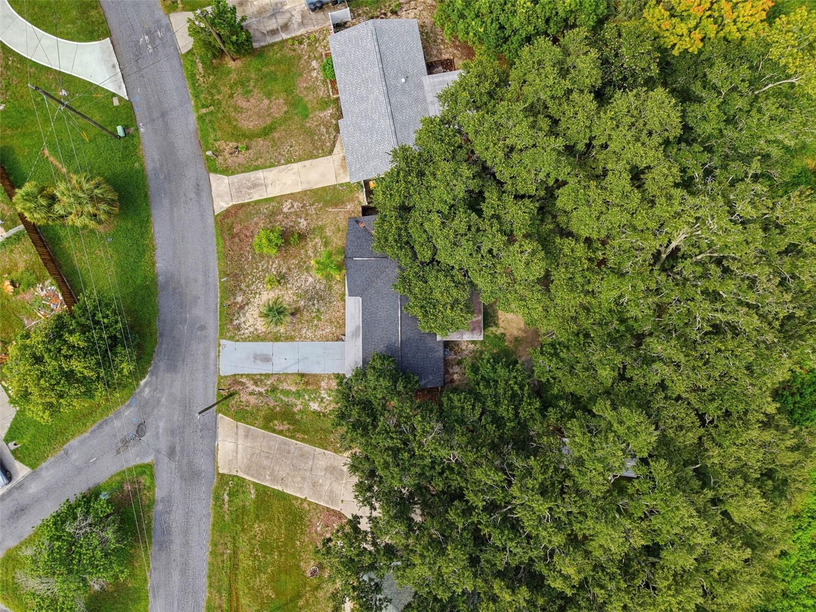 6845 Medlar Dr Property Photo 28