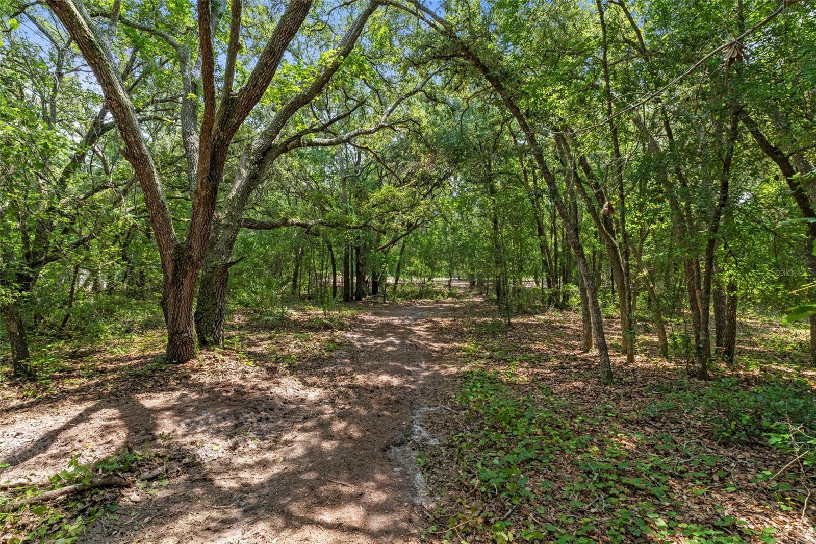 WHEYSTONE DR Property Photo 1