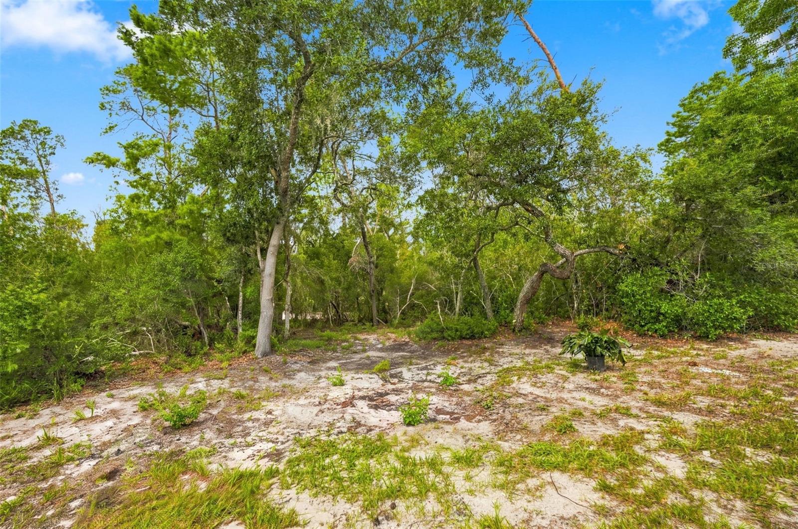 6454 Freeport Dr Property Photo 35