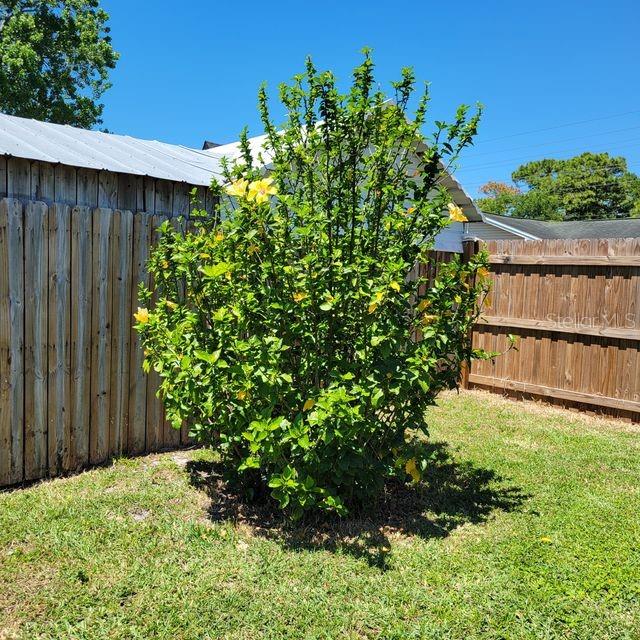7431 Sheepshead Dr Property Photo 13