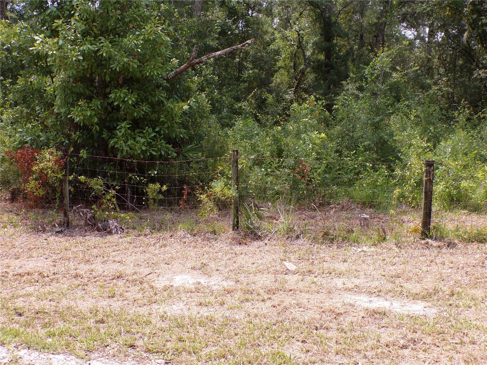 30 Ne 478th Ave Property Photo 22