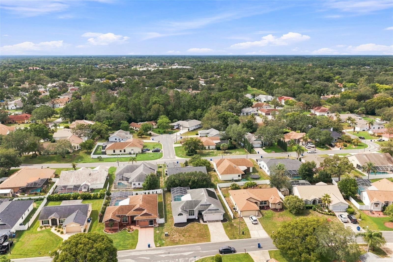 7258 Aloe Dr Property Photo 51