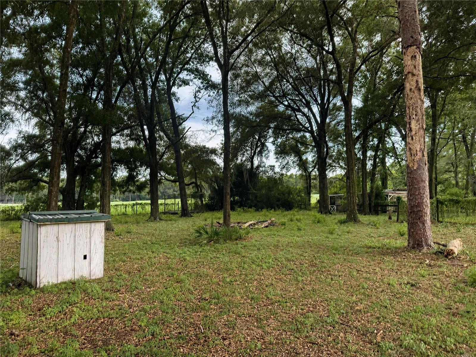 25256 Richbarn Rd Property Photo 18