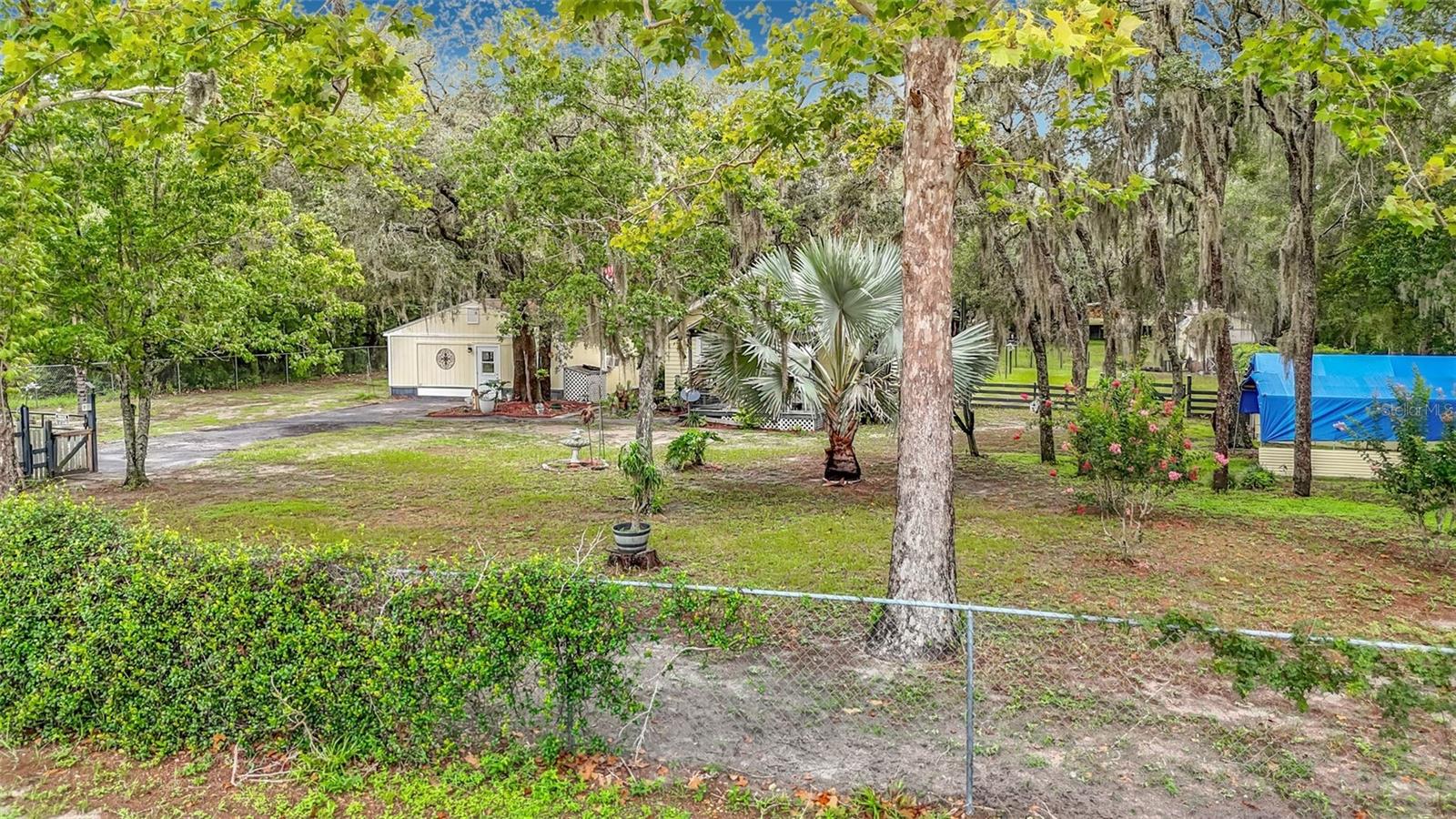11705 Mary Lou Dr Property Photo 2