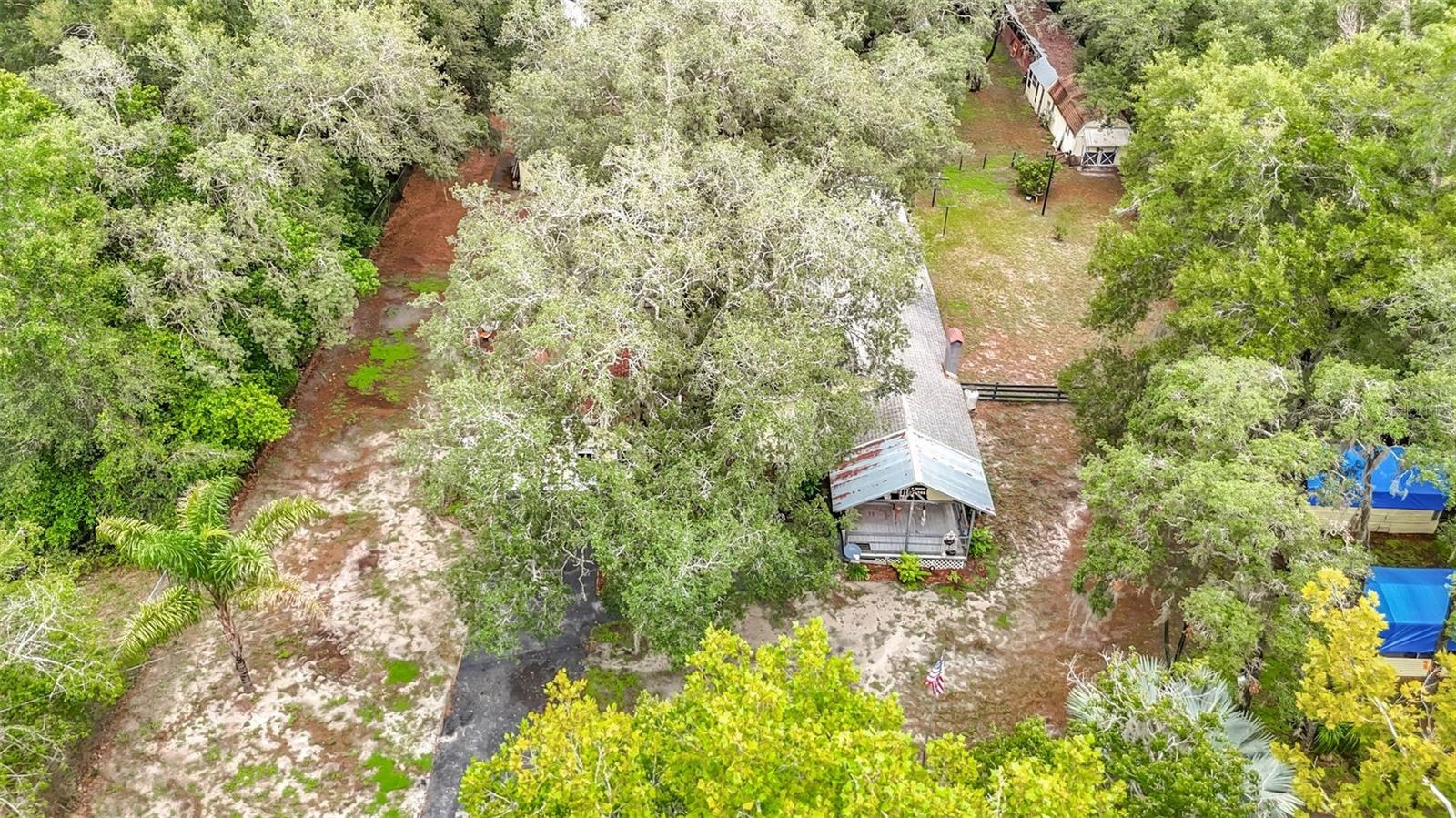 11705 Mary Lou Dr Property Photo 10