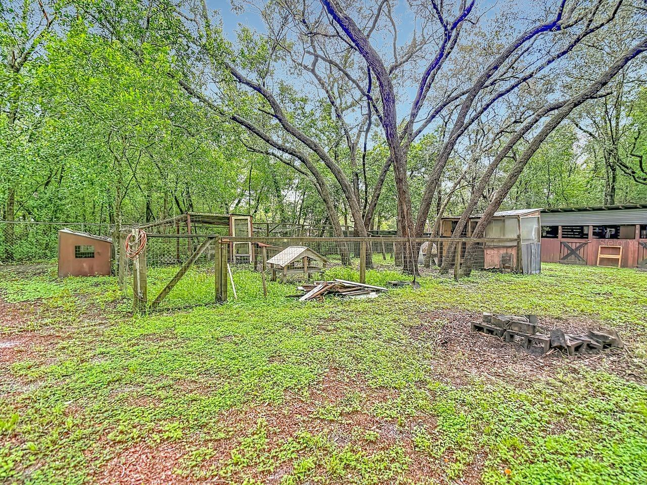 11705 Mary Lou Dr Property Photo 81