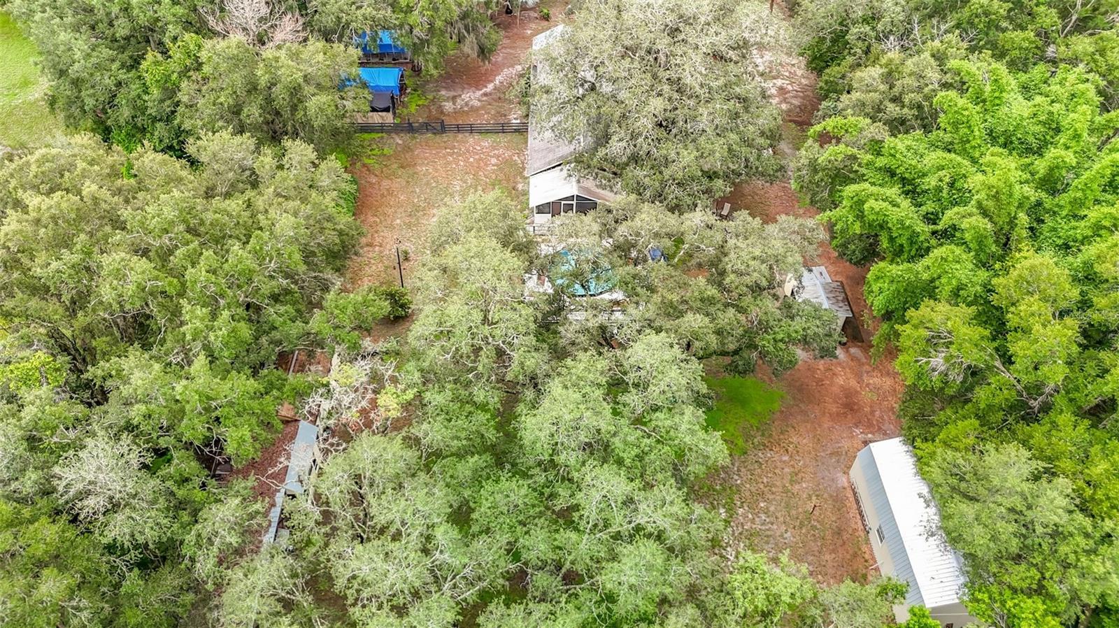 11705 Mary Lou Dr Property Photo 88
