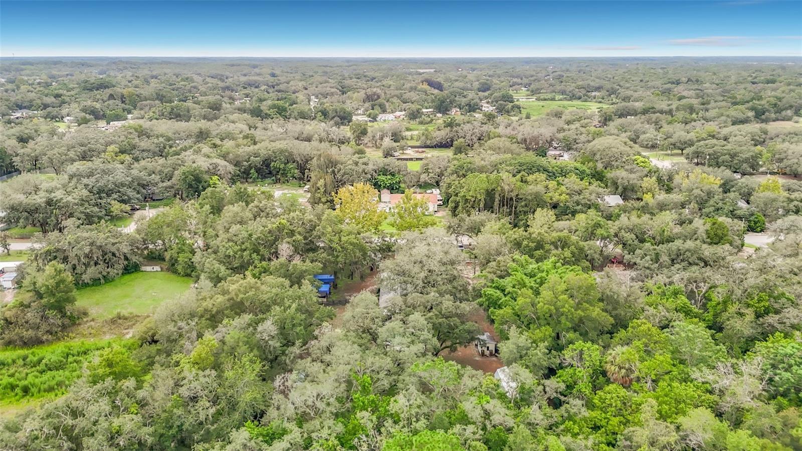 11705 Mary Lou Dr Property Photo 91