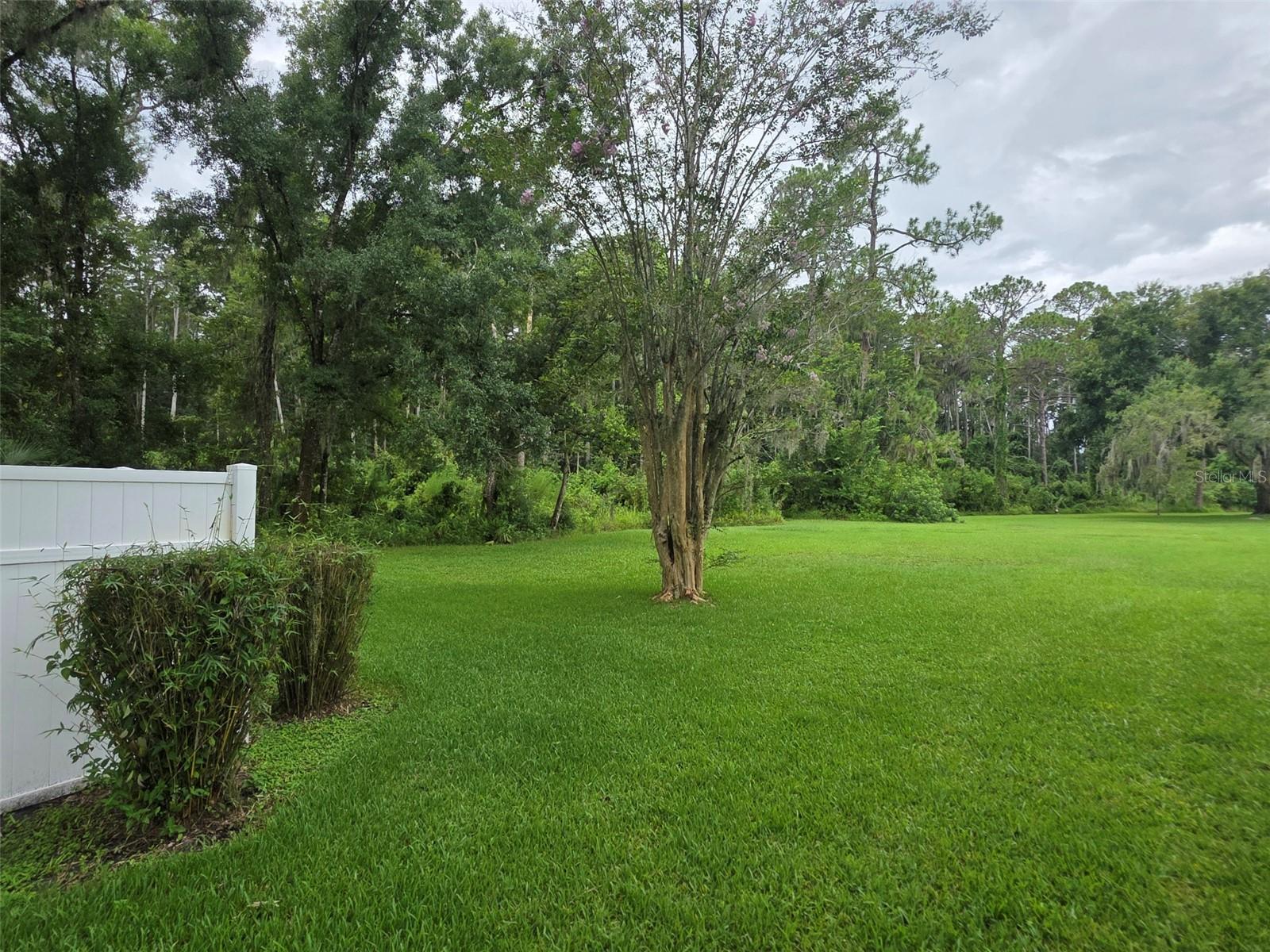 1781 Samurai Pt #p9 Property Photo 23