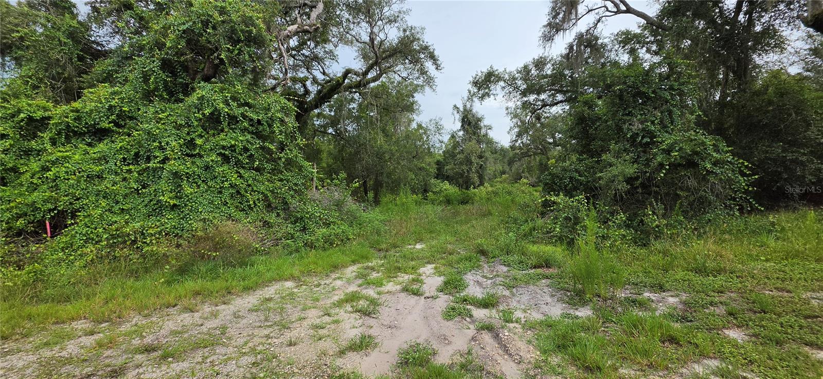 0 Round Table Rd Property Photo 7