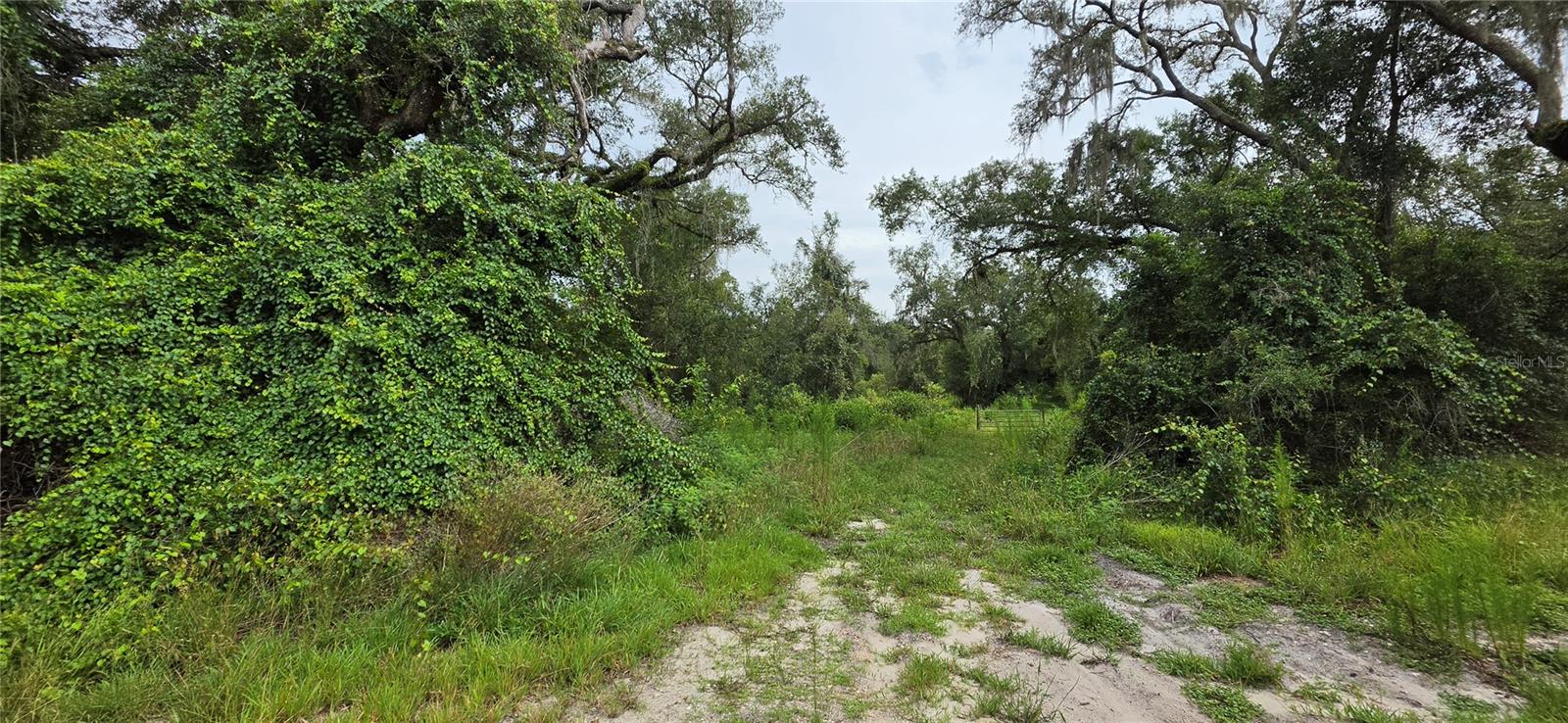 0 Round Table Rd Property Photo 8
