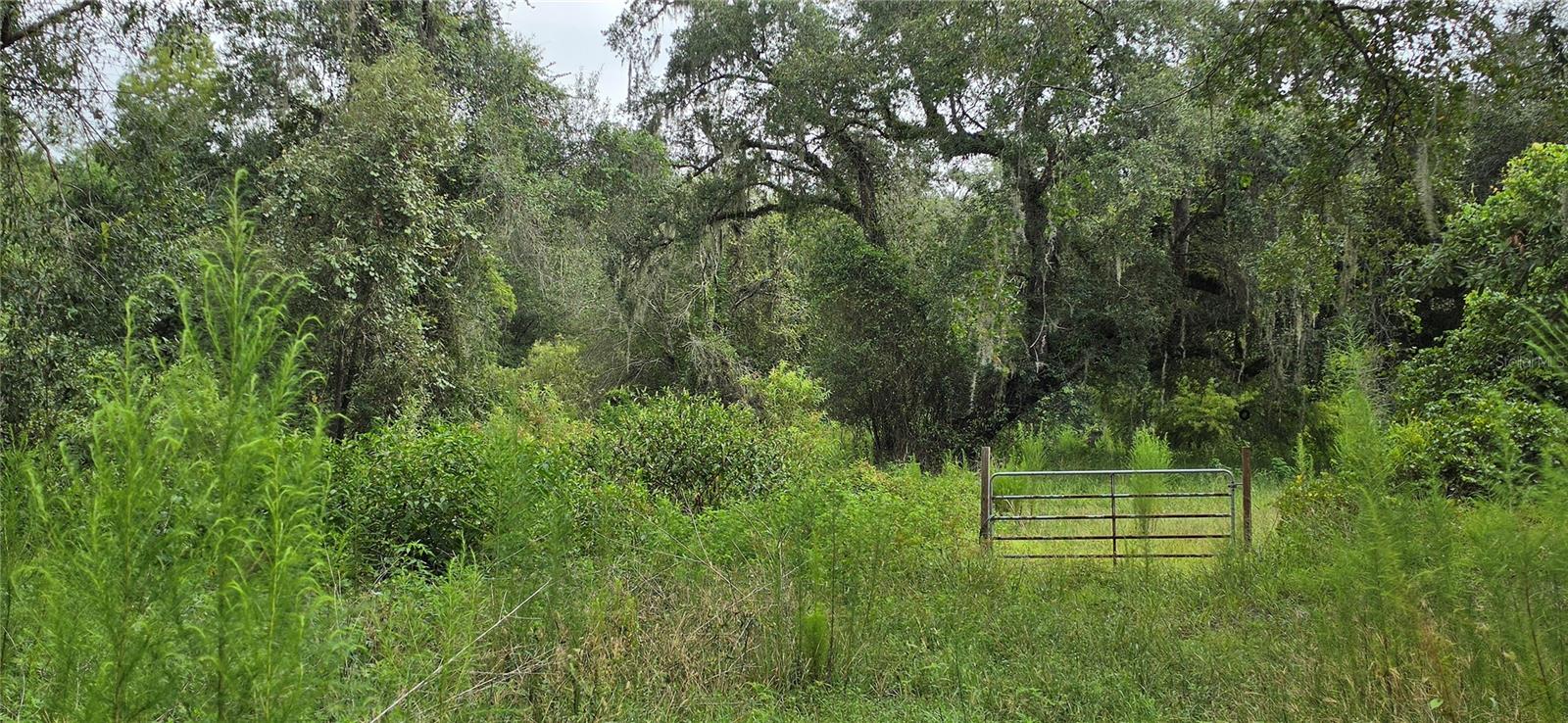 0 Round Table Rd Property Photo 9